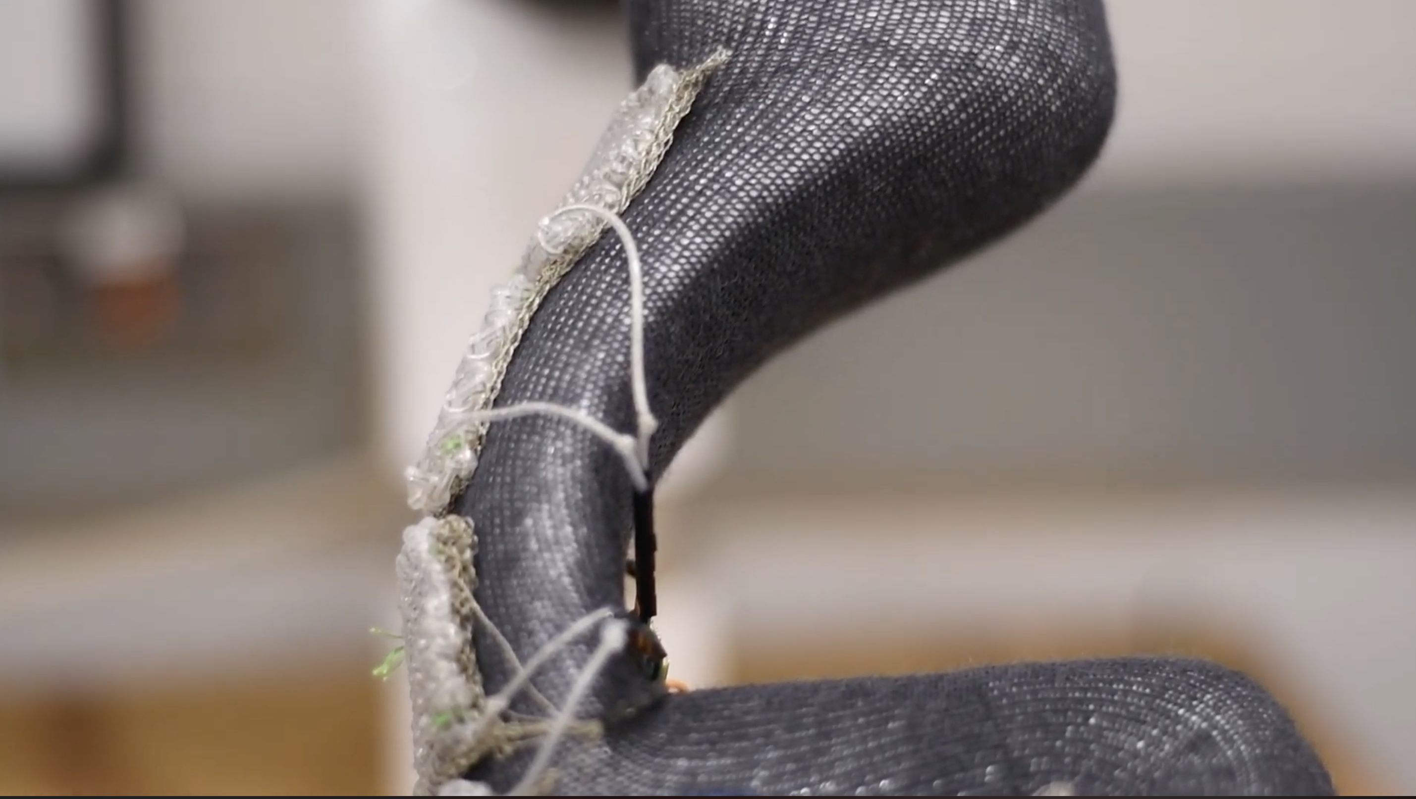 Patch-level integration