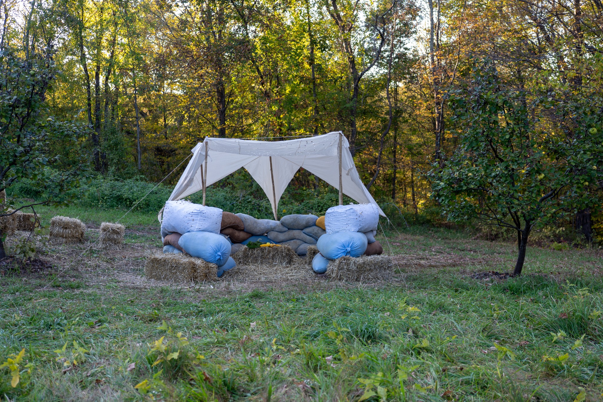 Final built biophilic structure with mycelium modules