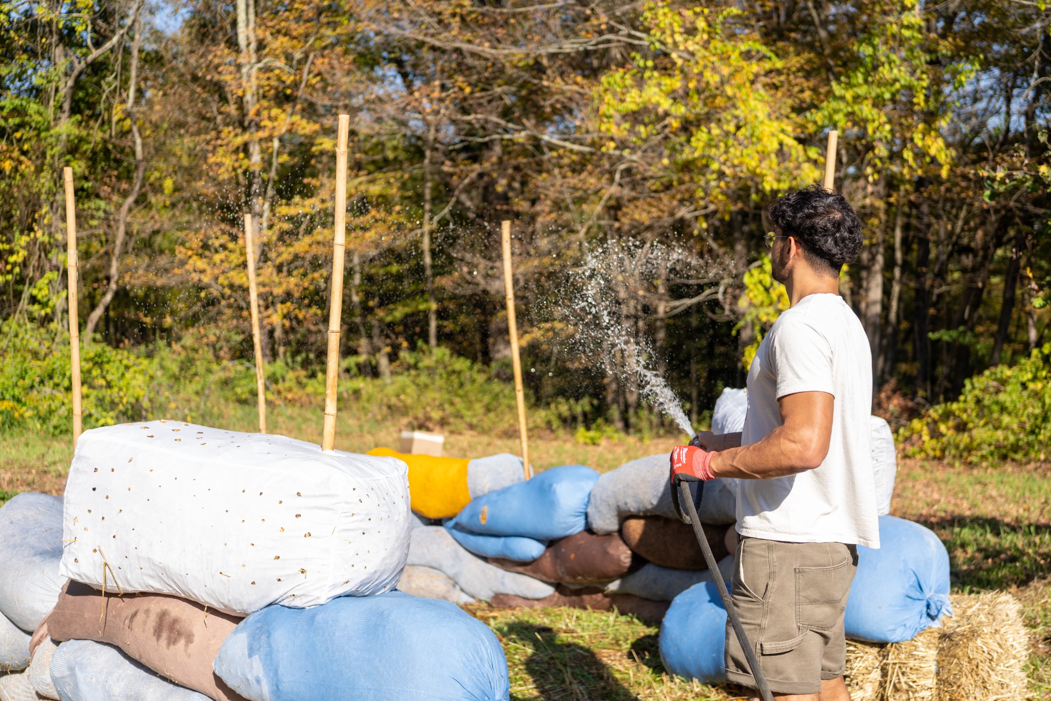 Mycelium integration detail